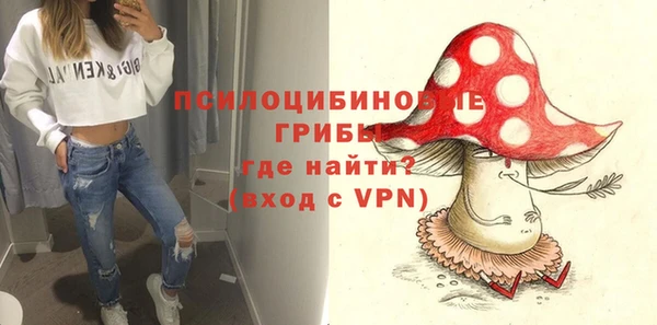 первитин Алексеевка