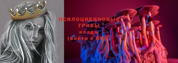 бошки Алзамай