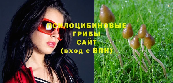 бошки Алзамай
