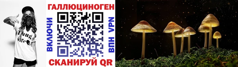 hydra как войти  как найти закладки  Артём  Галлюциногенные грибы мухоморы 